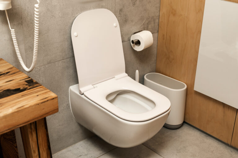 Toilet in the bathroom with wooden decor